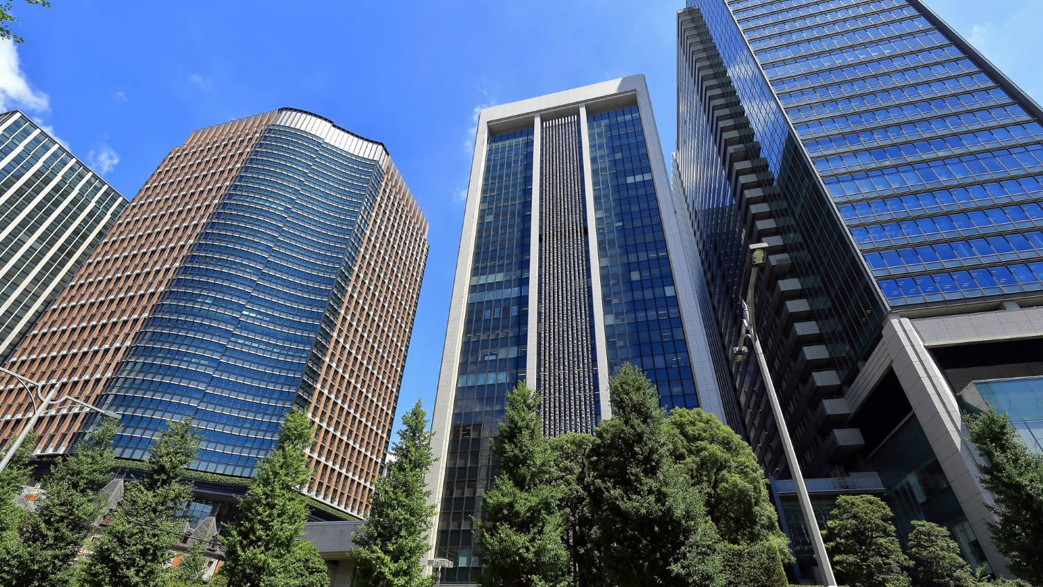 ビジネス、視察、研修の写真